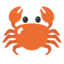 :crab: π¦